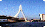 �IHS/Erasmus bridge